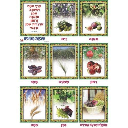 ערכת תמונות שבעת המינים