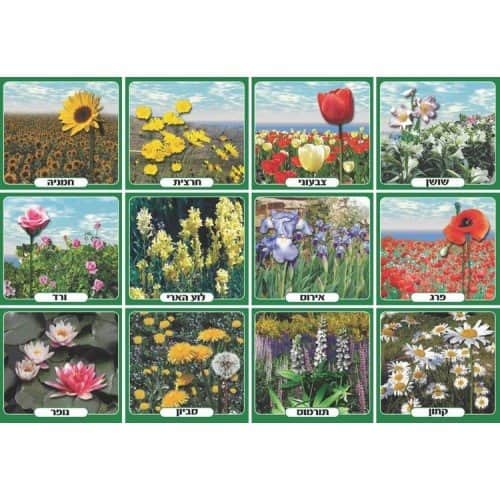ערכת תמונות פרחי אביב<BR גודל A4