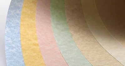 WhatsApp Image 2024-01-10 at 12.38.43.