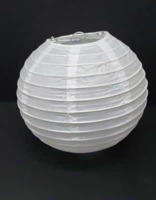 אהיל אקורדיון לבן