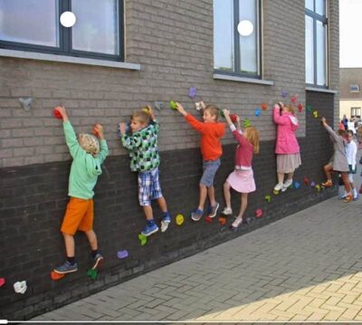 סט 12 אבני טיפוס עם ברגים