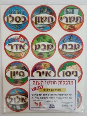 דגם 2