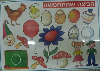 פלקט הביצה שהתחפשה 50X70