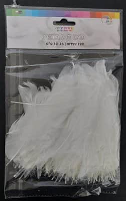 120 נוצות לבנות 10-15 סמ