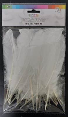 48 נוצות לבנות 12-18 סמ