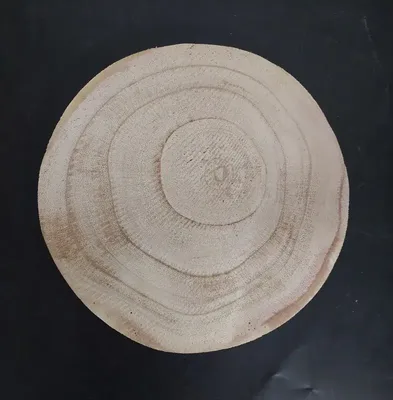 פרוסת עץ עגולה ליצירה <BR> 15X1 סמ