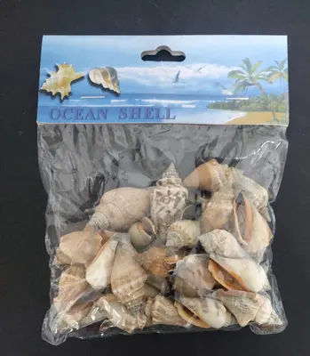 קונכיות מעורב גדלים