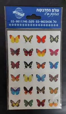 מדבקות פרפר אמיתי 4 בשורה <BR> 10 דף