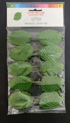 100 עלים ירוקים <BR> 5X3.5 סמ