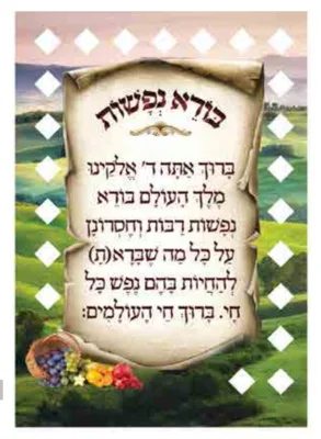 ברכת בורא נפשות <BR> 20 יח