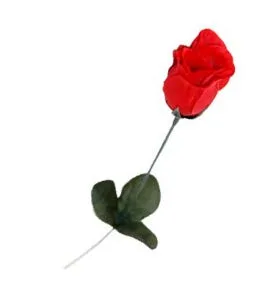 פרח ורד בצלופן