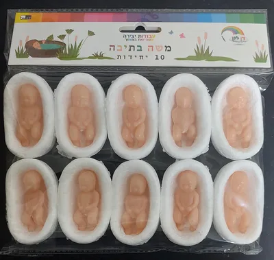 10 משה בתיבה <BR> 5.5 סמ