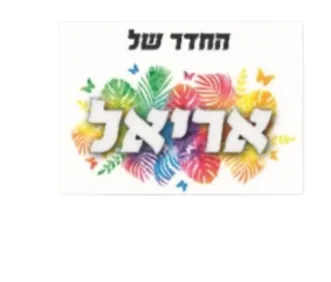 שלט לחדר תמונה על מתכת+ פס מגנט <BR> גודל A5