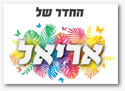 שלט לחדר תמונה על מתכת+ פס מגנט <BR> גודל A5