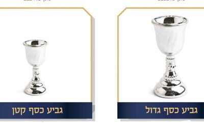 גביע כסף <BR> בחר גודל